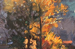 Cacophony of Cockatoos at Sunset, Katoomba 21cm x 14cm