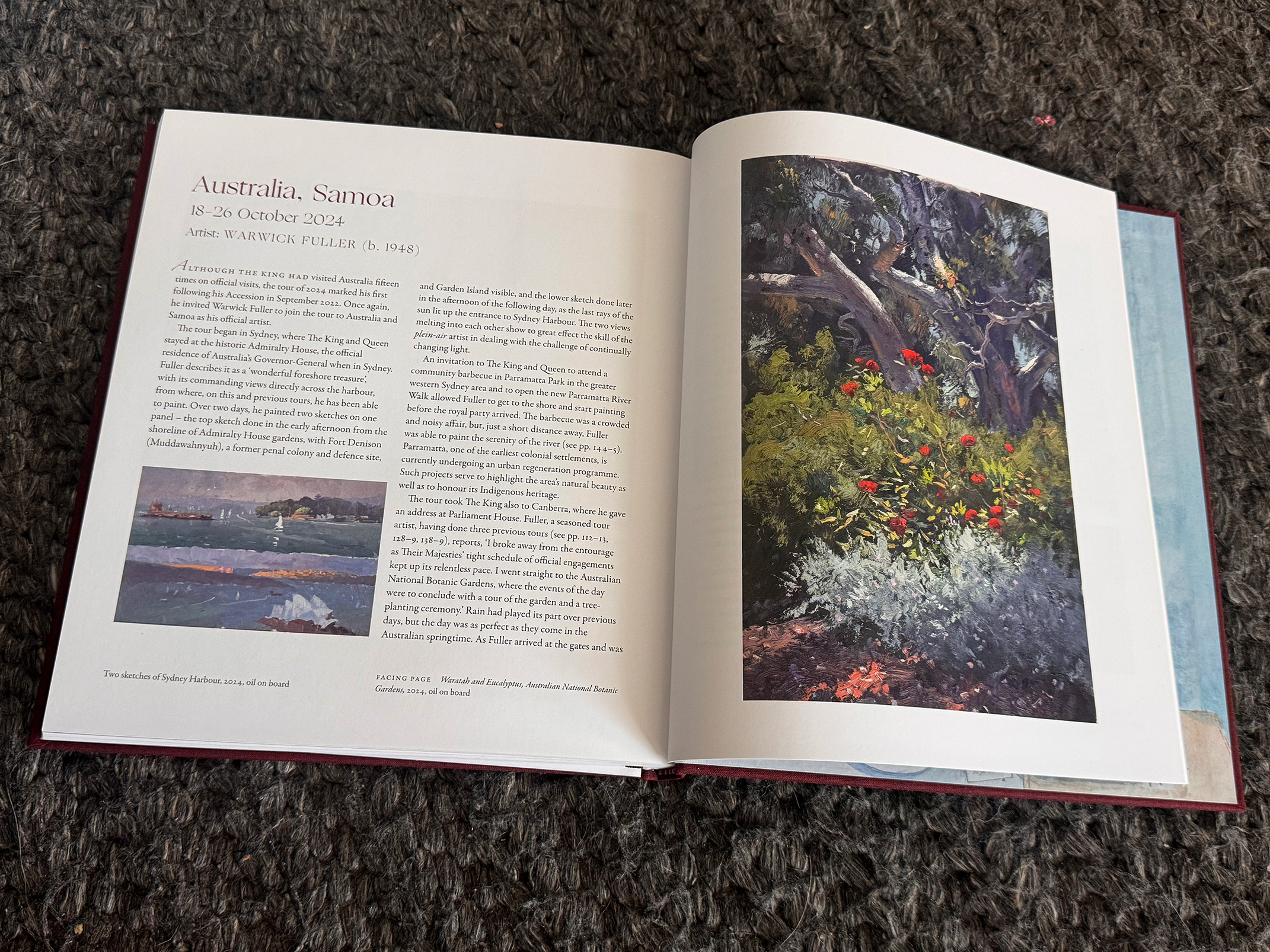 Book cover: Chasing the light